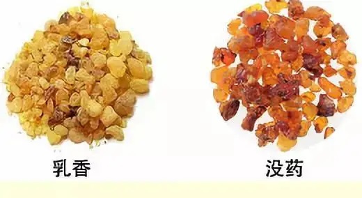 乳香，Boswellia Carterri Birdw 橄欖科