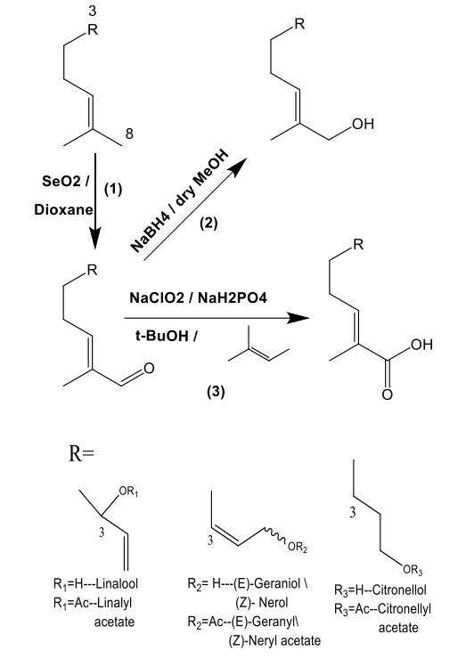 C-6不飽和無(wú)環(huán)單萜醇的結(jié)構(gòu)-氣味關(guān)系研究：一種比較的方法